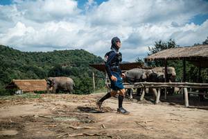 BIB: 
                            <button type="button" onclick="openModal(22423897)" class="btn btn-primary btn-sm float-right btn-popup" data-toggle="modal" data-target=".modal-high-quality">
                        <i class="fas fa-shopping-cart"></i> Add to Cart
                    </button>
                                            <button type="button" onclick="isThisMe(22423897, true)" class="btn btn-success btn-sm float-right btn-popup btn-isme hidden" data-toggle="tooltip" data-placement="bottom" title="นี่คือรูปของคุณใช่ไหม คลิกที่นี่เพื่อเอาเข้าอัลบั้ม">
                        <i class="fas fa-plus"></i> Add to album
                    </button>
                    <button type="button" onclick="isThisMe(22423897, false)" class="btn btn-warning btn-sm float-right btn-popup btn-isnotme hidden">
                        <i class="fas fa-ban"></i> Remove from album
                    </button>